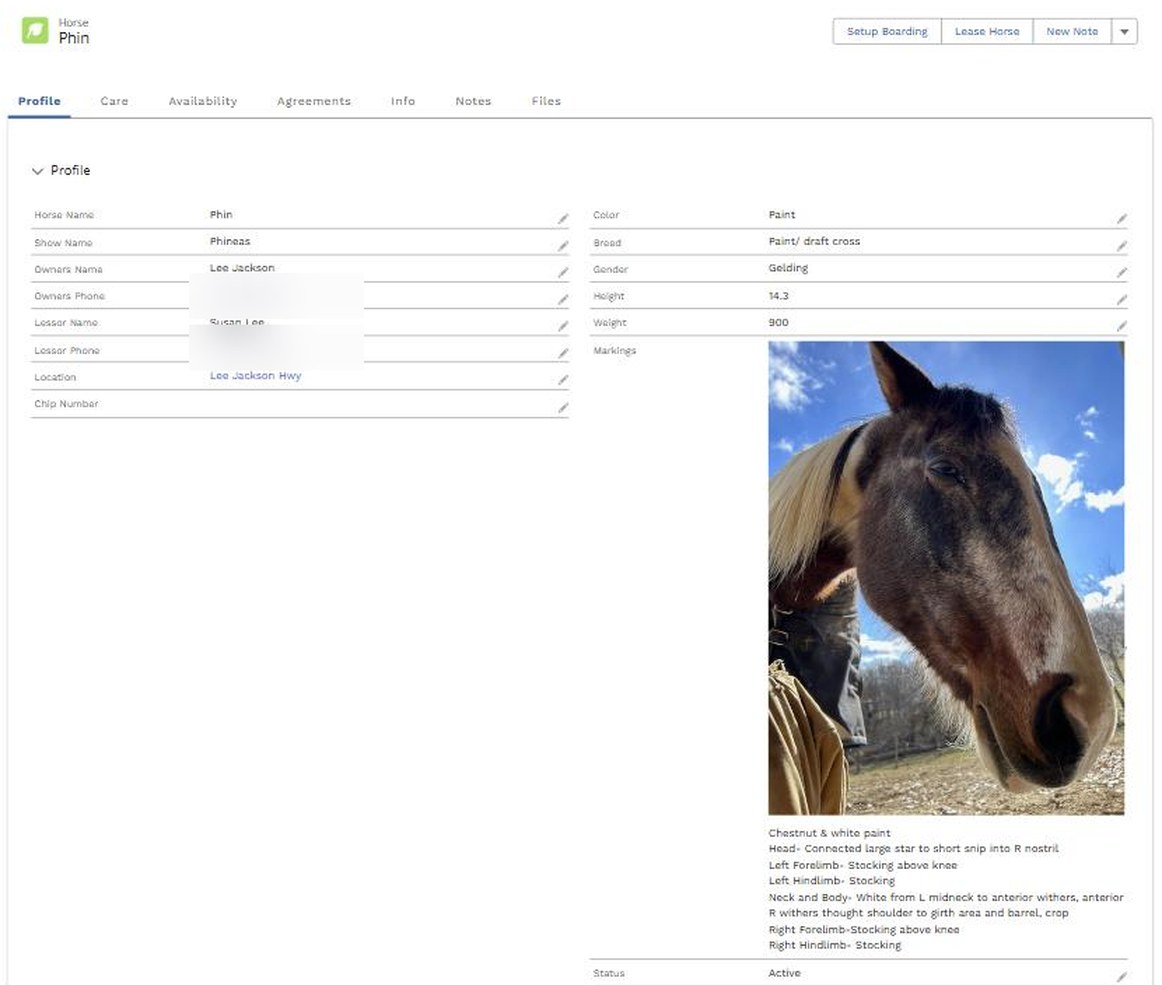 Horse boarding software digital barn file showing a horse profile with owner, care, and boarding details